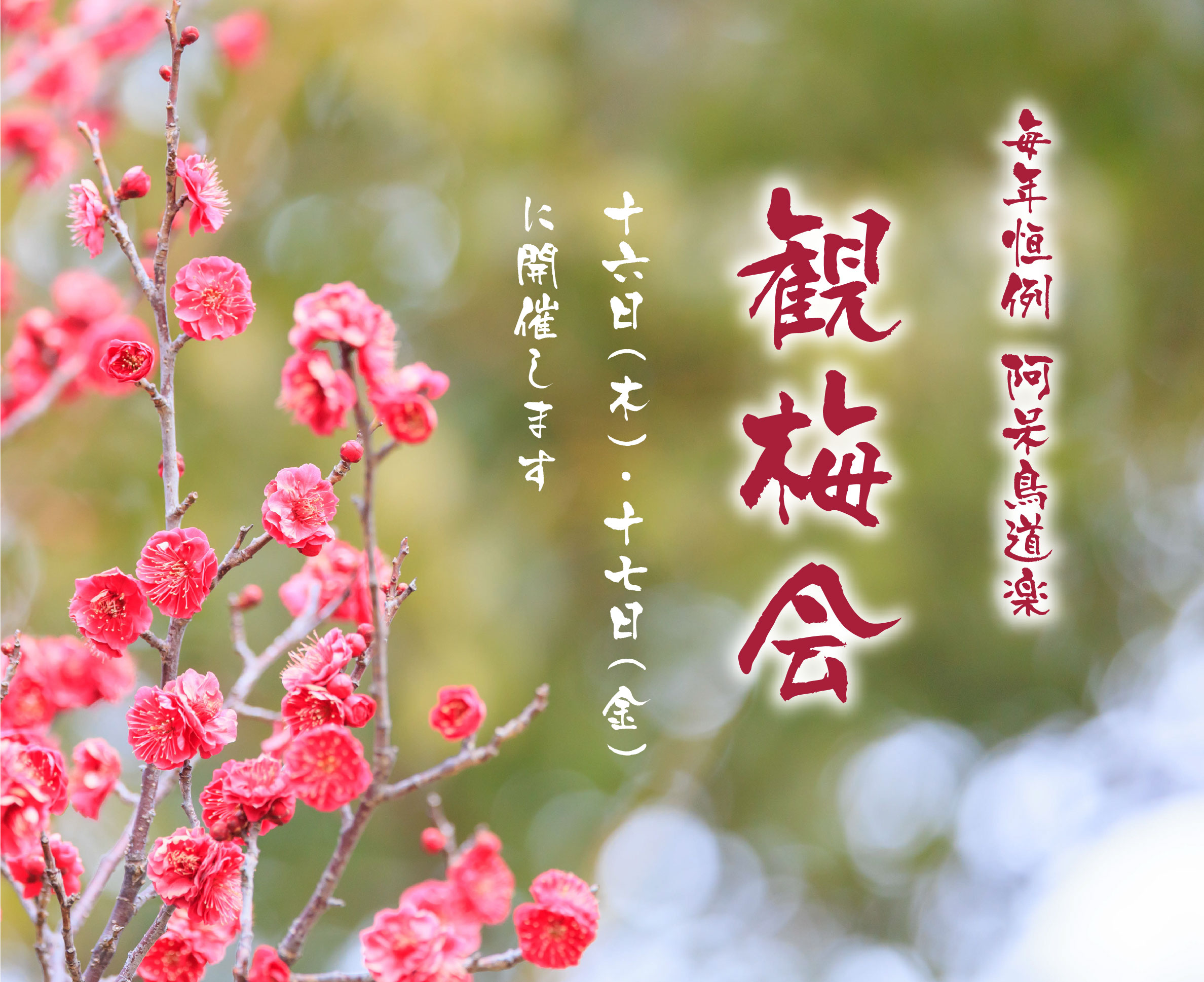 画像:初釜点心