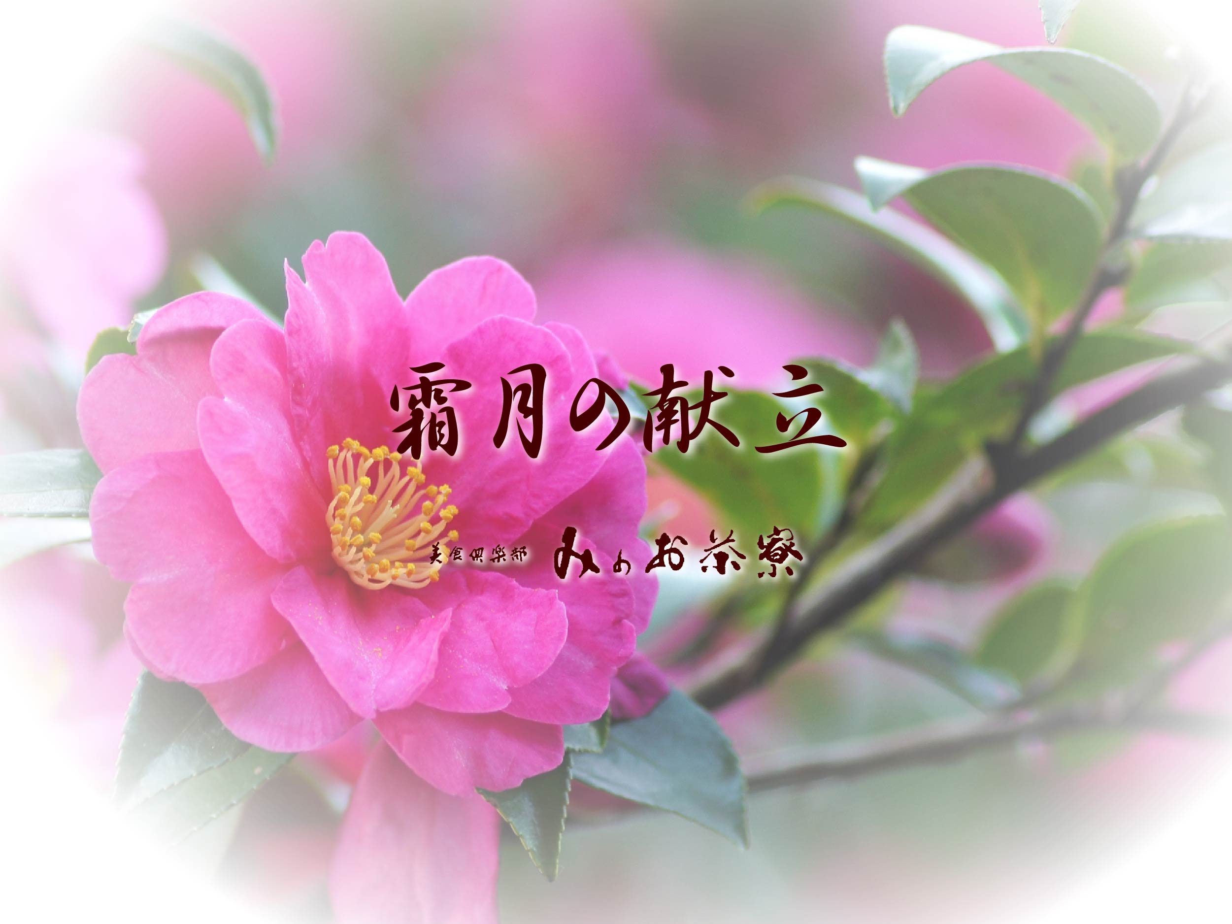 画像:霜月の献立